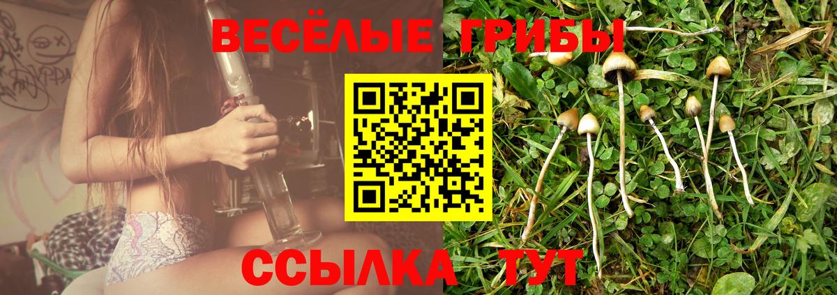 Чистополь  цена   Вход с VPN  Галлюциногенные грибы ЛСД 